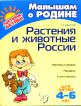 Растения и животные России: Рассказы о природе, раскраски, стихи и загадки. Для детей 4-6 лет Малышам о Родине